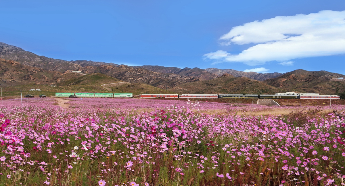 ֲ�������