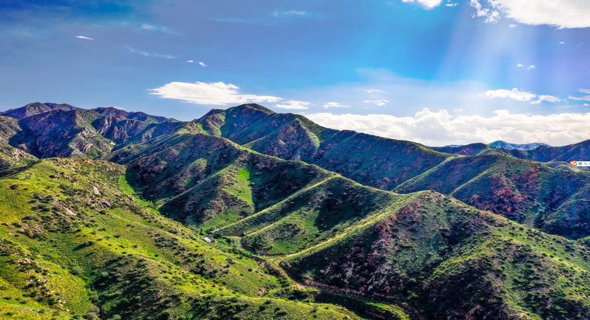 �L(f��ng)��