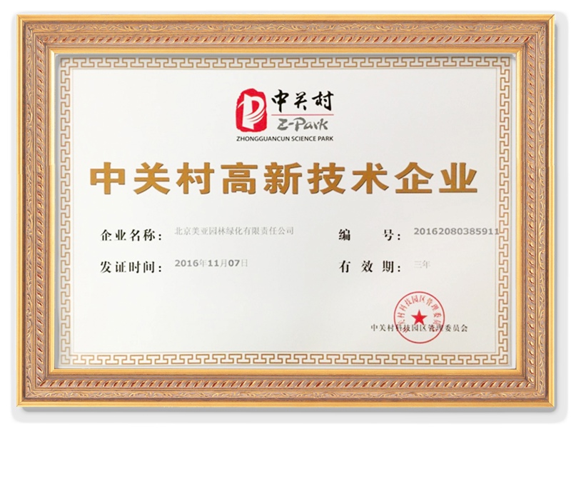 美亞高新技術企業