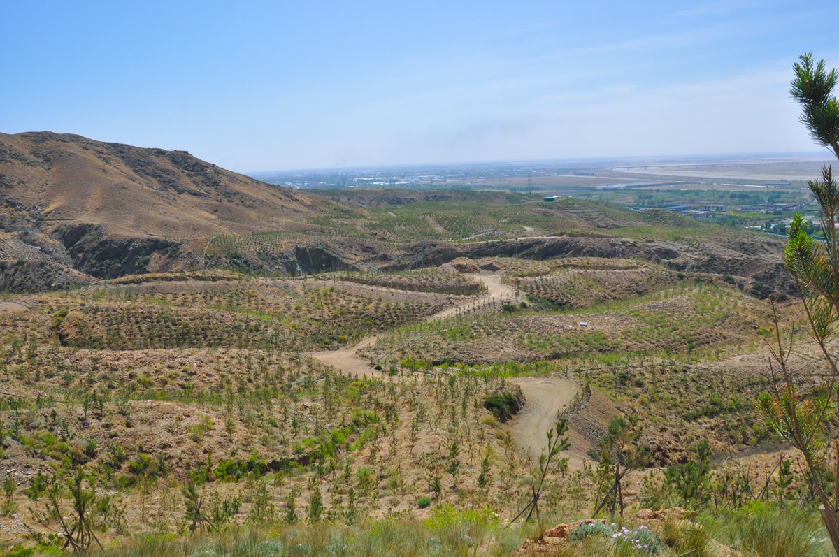 G6�������B�h���C�������m������