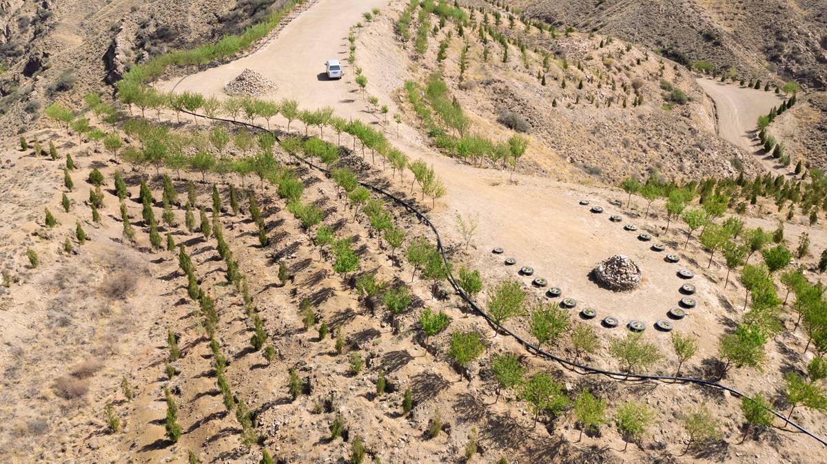 ���ٳ������B�h���C�������m������