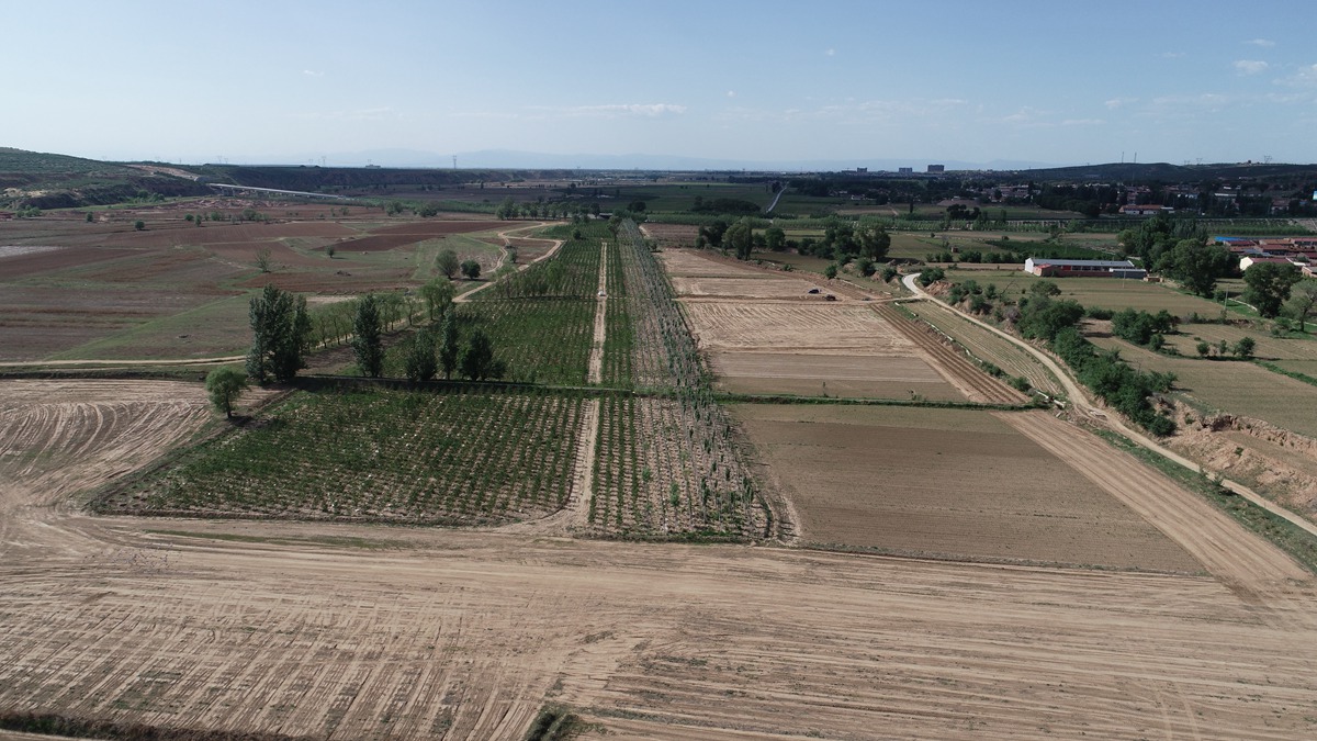 ���к��ָ�