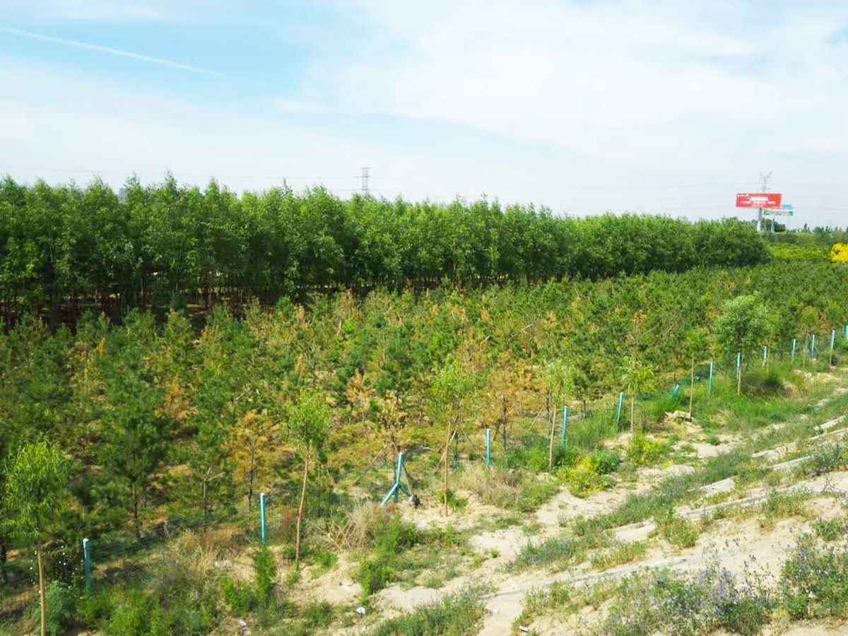 ��ɽ�^G6���ٹ�·���B�h���C�����ι���