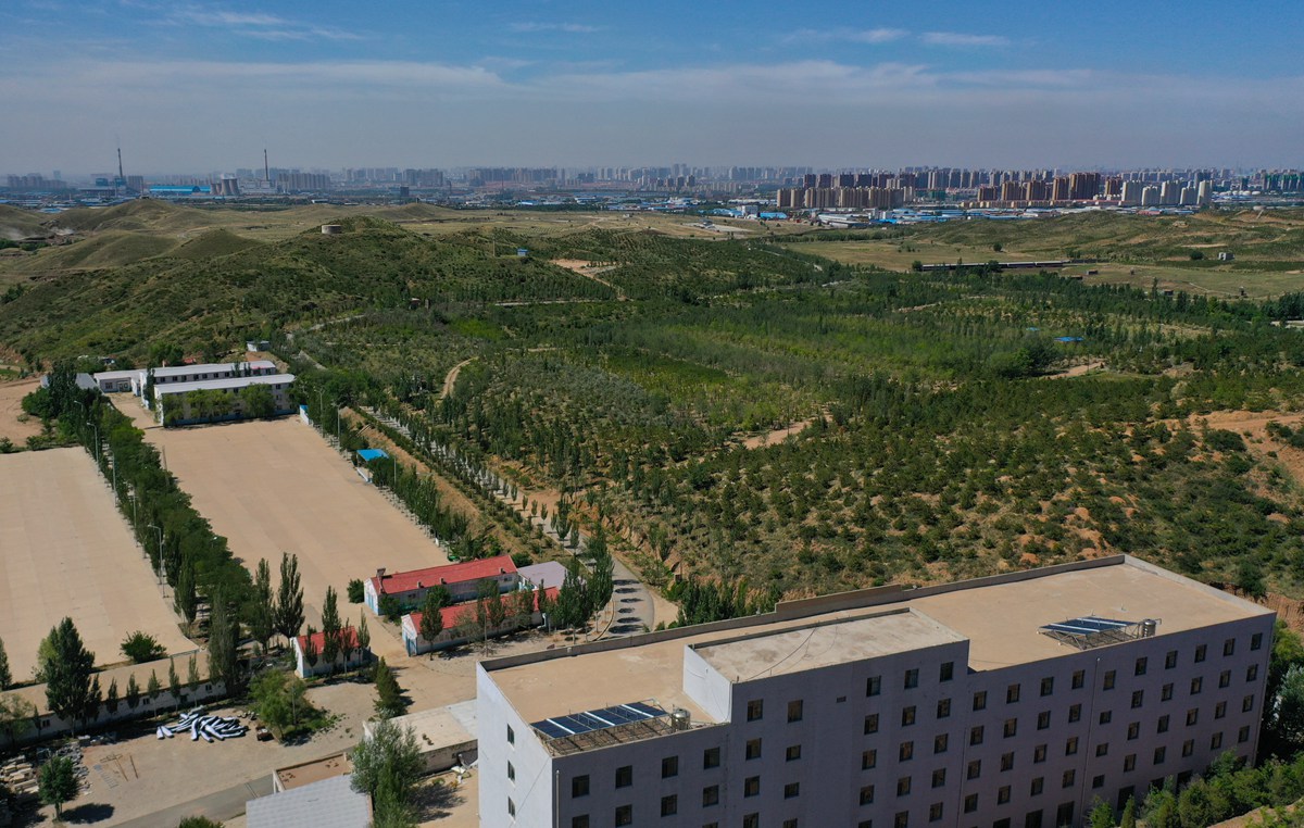 ���������B���ջ���