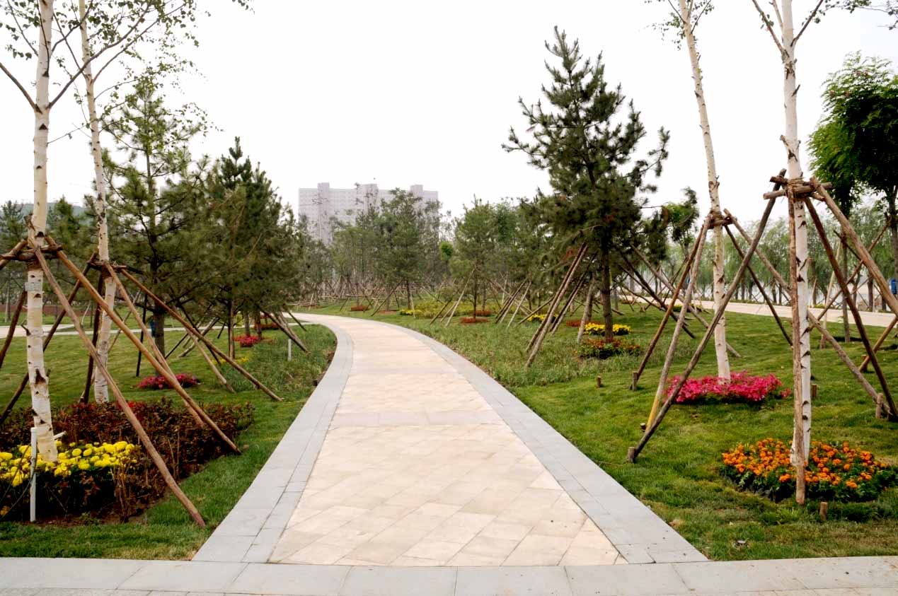 С�ں�ِ���^(q��)�ξC�������(xi��ng)Ŀ