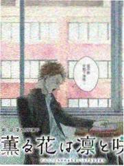 综艺慢直播分类示意